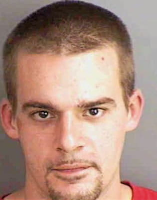 Seeger Arthur - Collier County, FL 