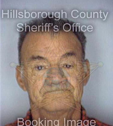 Koski Dale - Hillsborough County, FL 