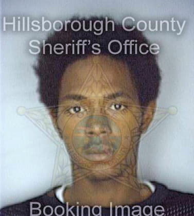 Ramirez Jonathan - Hillsborough County, FL 