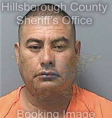 Cruzlopez Juan - Hillsborough County, FL 