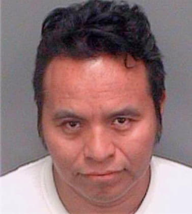 Baxcajay Marcelo - Pinellas County, FL 
