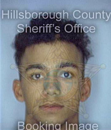 Maysonet Anibal - Hillsborough County, FL 