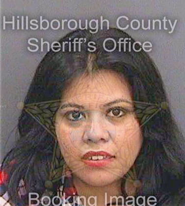 Garciaaraujo Elizabeth - Hillsborough County, FL 