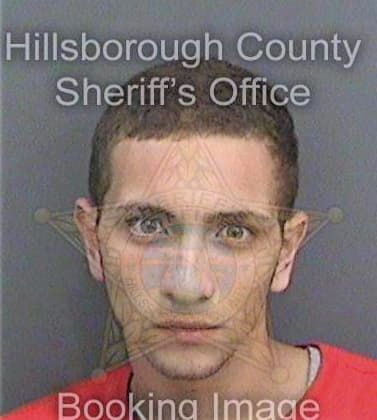 Gomez Justin - Hillsborough County, FL 