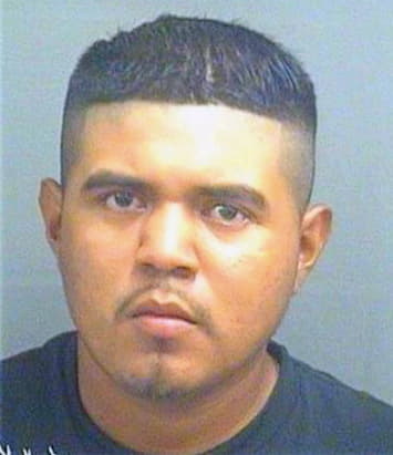 Bartolon Luis - PalmBeach County, FL 