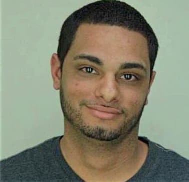 Perez Luis - Hillsborough County, FL 