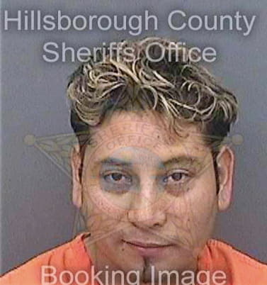 Rosasrosas Miguel - Hillsborough County, FL 