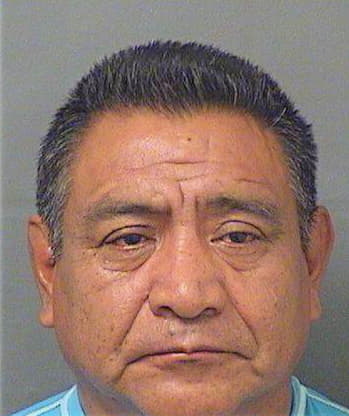 Chay Antonio - PalmBeach County, FL 