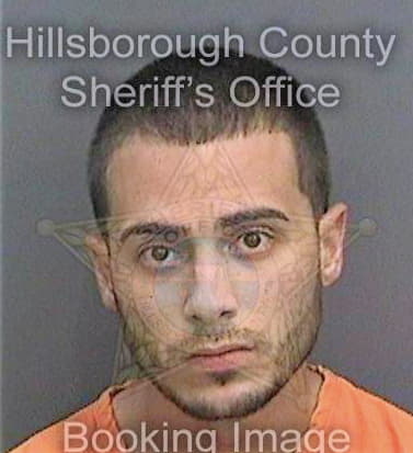 Rodriguez Carlos - Hillsborough County, FL 