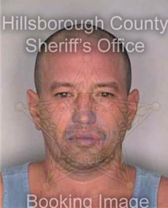 Haughton John - Hillsborough County, FL 