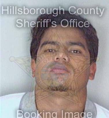 Coronadofallon Jose - Hillsborough County, FL 