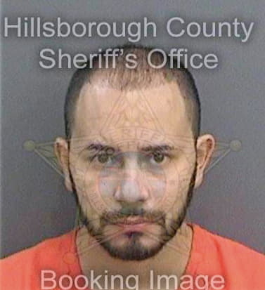 Contreras Luis - Hillsborough County, FL 