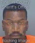 Hearns Michael - Pinellas County, FL 