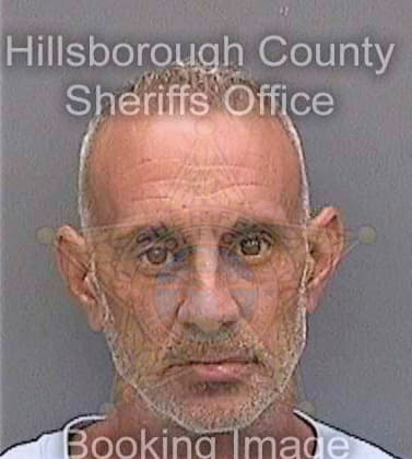 Perez-Arias Alexeis - Hillsborough County, FL 