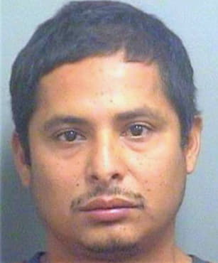 Diaz Juan - PalmBeach County, FL 