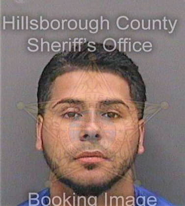 Pecina Luis - Hillsborough County, FL 