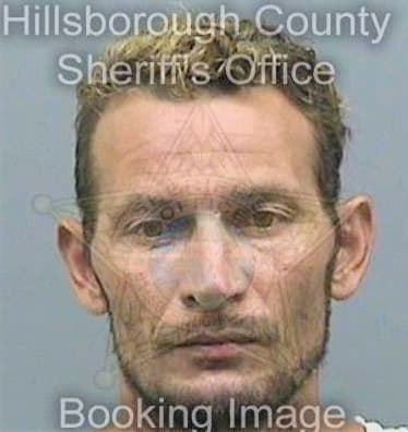 Vanderham Michael - Hillsborough County, FL 