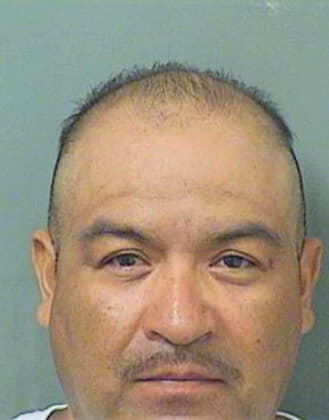 Ortegaavila Fidel - PalmBeach County, FL 