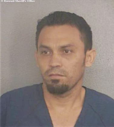 Hernandez Gerardo - Broward County, FL 