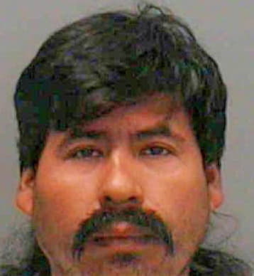 Guerra Marvin - Lee County, FL 