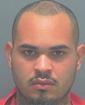 Aguirre Alejandro - Lee County, FL 