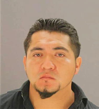 Fortanelli Domingo - Dallas County, TX 
