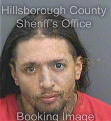 Carmenaty Fernando - Hillsborough County, FL 