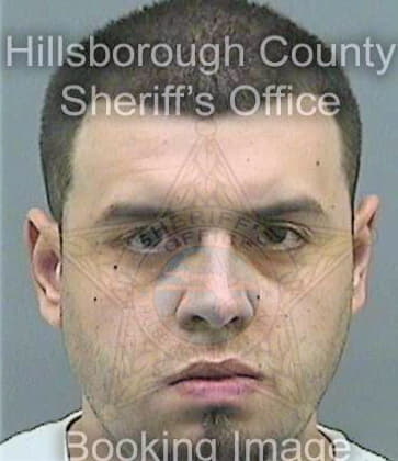 Zuluaga Brian - Hillsborough County, FL 