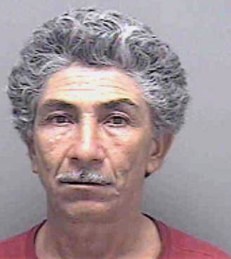 Pineda Romilio - Lee County, FL 