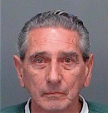 Russo Wayne - Pinellas County, FL 