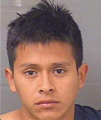 Franciscoesteban Daniel - PalmBeach County, FL 