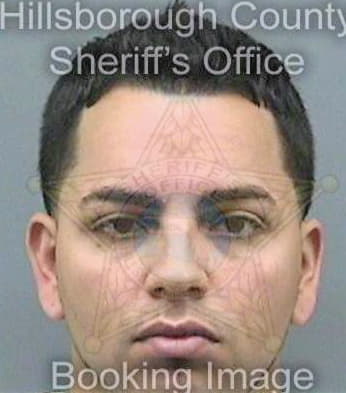 Molina Daniel - Hillsborough County, FL 