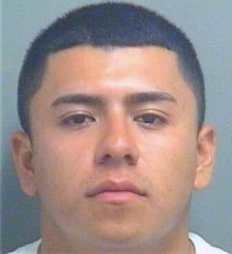 Gonzalesperez Fredy - PalmBeach County, FL 