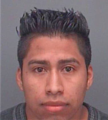 Moro Luis - Pinellas County, FL 