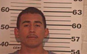 Sinfuentes Joey - Hidalgo County, TX 