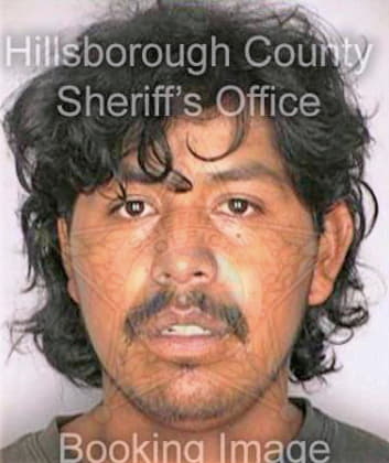 Lopez Jose - Hillsborough County, FL 