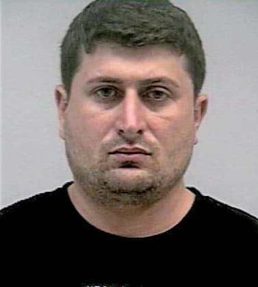 Litnevskiy Pavel - Gwinnett County, GA 