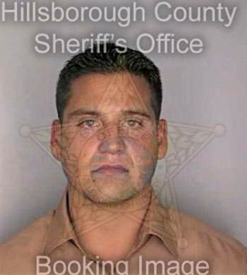 Ciccarello Rene - Hillsborough County, FL 