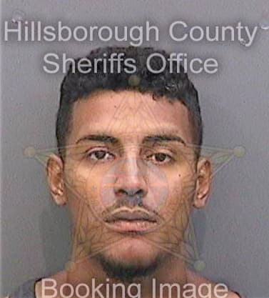 Gonzalezmartinez Salvador - Hillsborough County, FL 