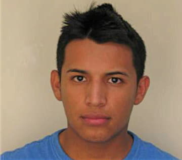 Martinez Efrain - Hillsborough County, FL 