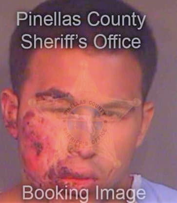 Hidalgo Luis - Pinellas County, FL 