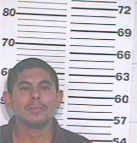Castillo Alberto - Hidalgo County, TX 
