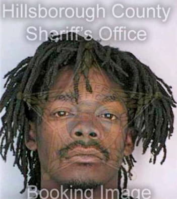 Newson Calvin - Hillsborough County, FL 