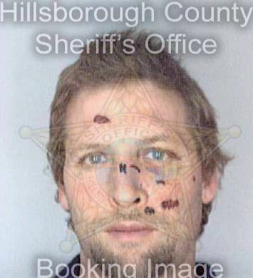 Kirk David - Hillsborough County, FL 