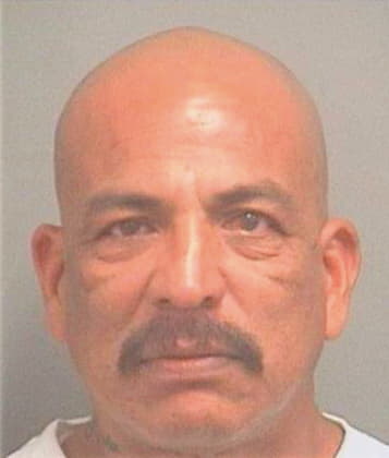 Gonzales Domingo - PalmBeach County, FL 
