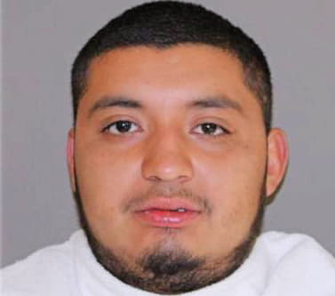 Medina Enrique - Denton County, TX 