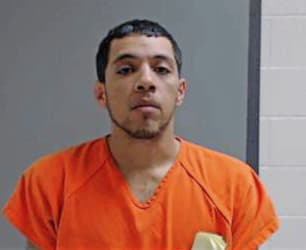 Seale Eric - Hidalgo County, TX 