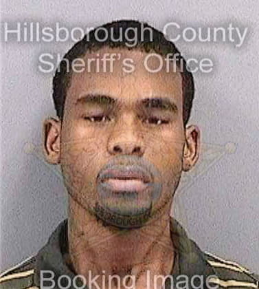 Brown Joseph - Hillsborough County, FL 