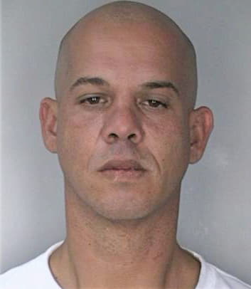Caraballo Michael - Hillsborough County, FL 