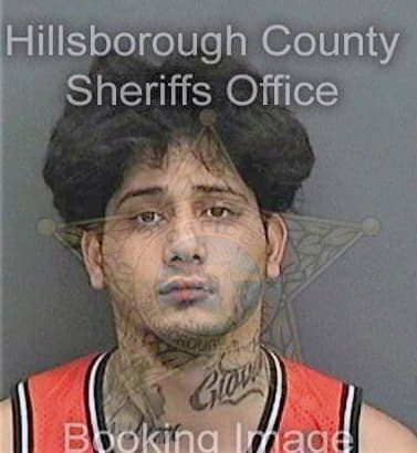 Colon Roeke - Hillsborough County, FL 